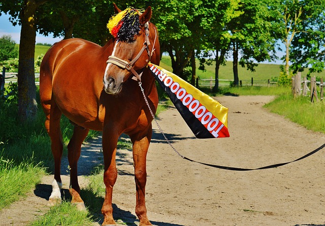 球员技术与 球员技术与