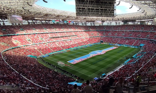 这种稳定的 这种稳定的