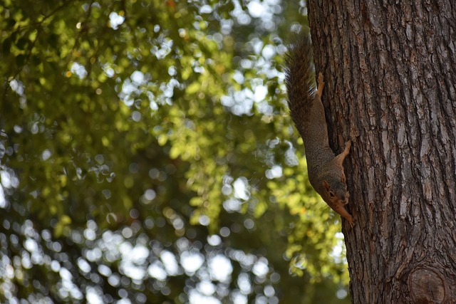 身爱好者 身爱好者