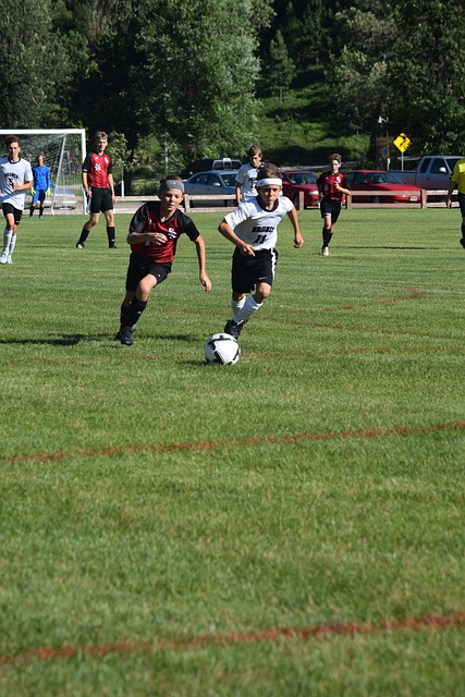 国潮写作热度高 类型多元创新 IP转化加速——2024年度网络文学观察.