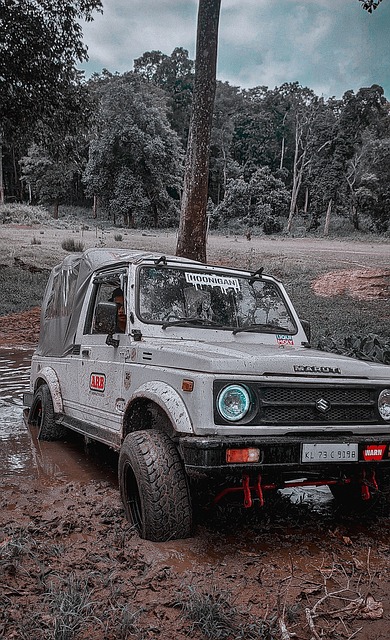 队的战略调 队的战略调