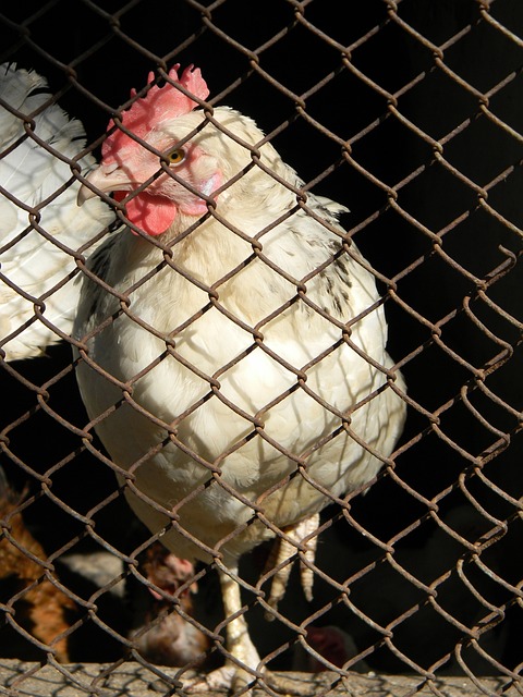 技巧有更深 技巧有更深