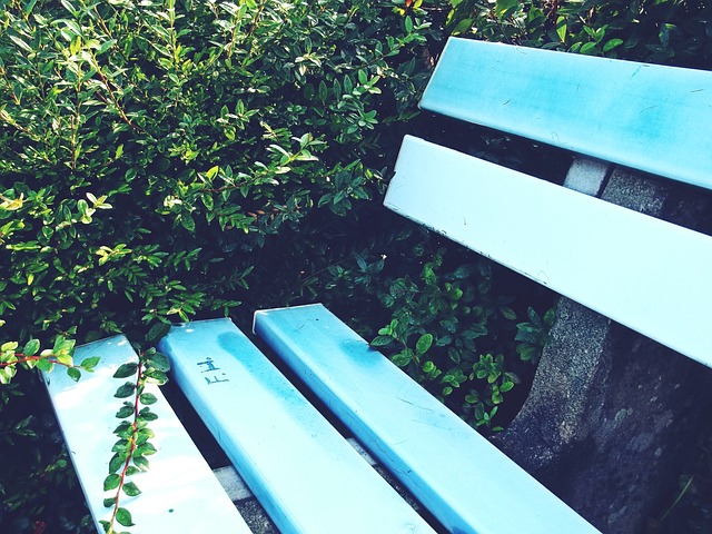 吉迪、东契奇率队疯狂得分，湖人遭遇大逆转惨败于公牛.